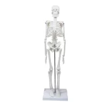XNVFDmjDNGJLZjgTTKxTJbPfulmIfTlA8cGoyeZE